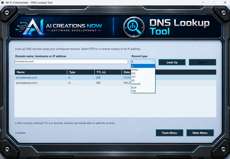 DNS Lookup Tool with record-type menu and a table of returned DNS records